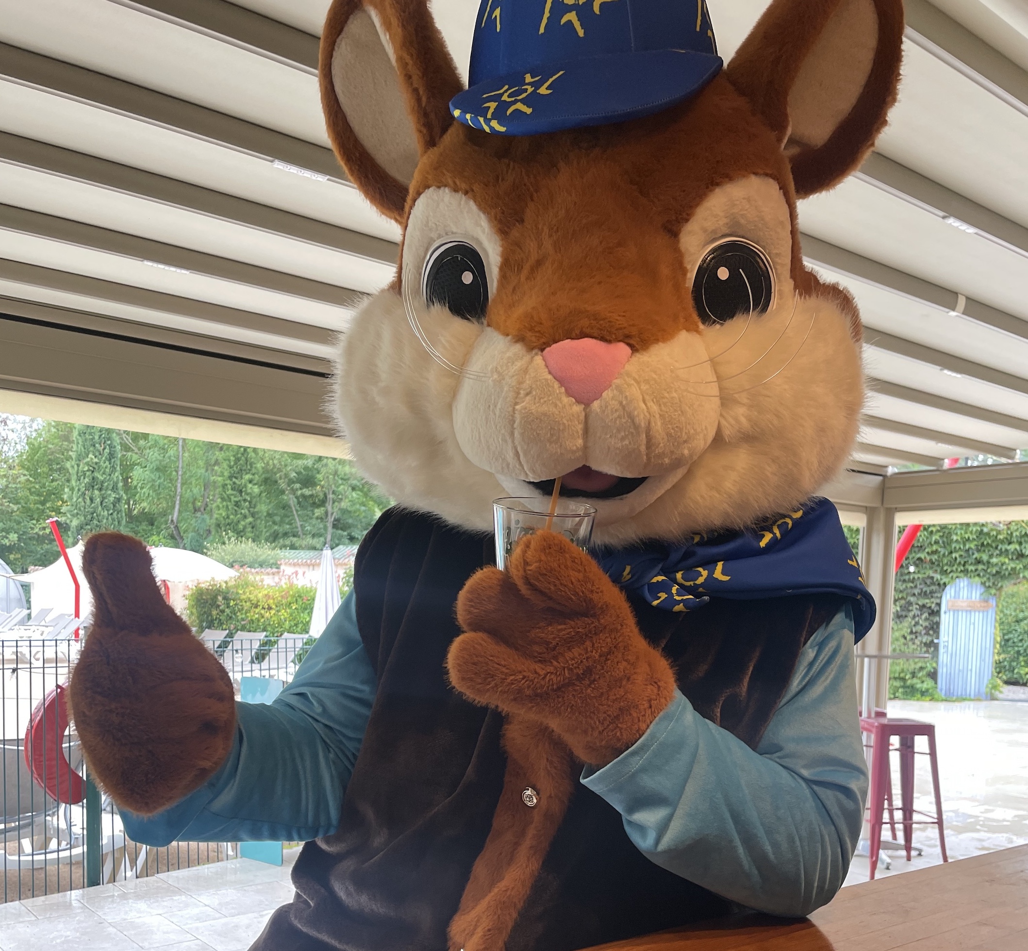 Camping_Forcalquier_Au_Tylo_Soleil_Mascotte_Ecureuil_pano