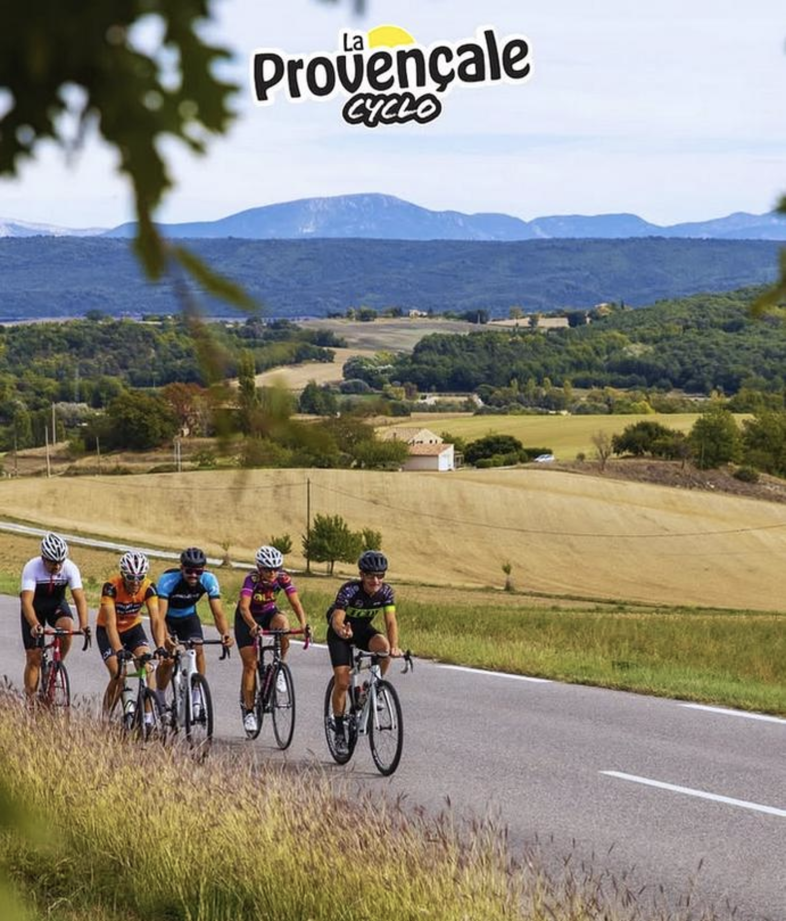 Capture d’écran 2026-03-01 à 18.04.04