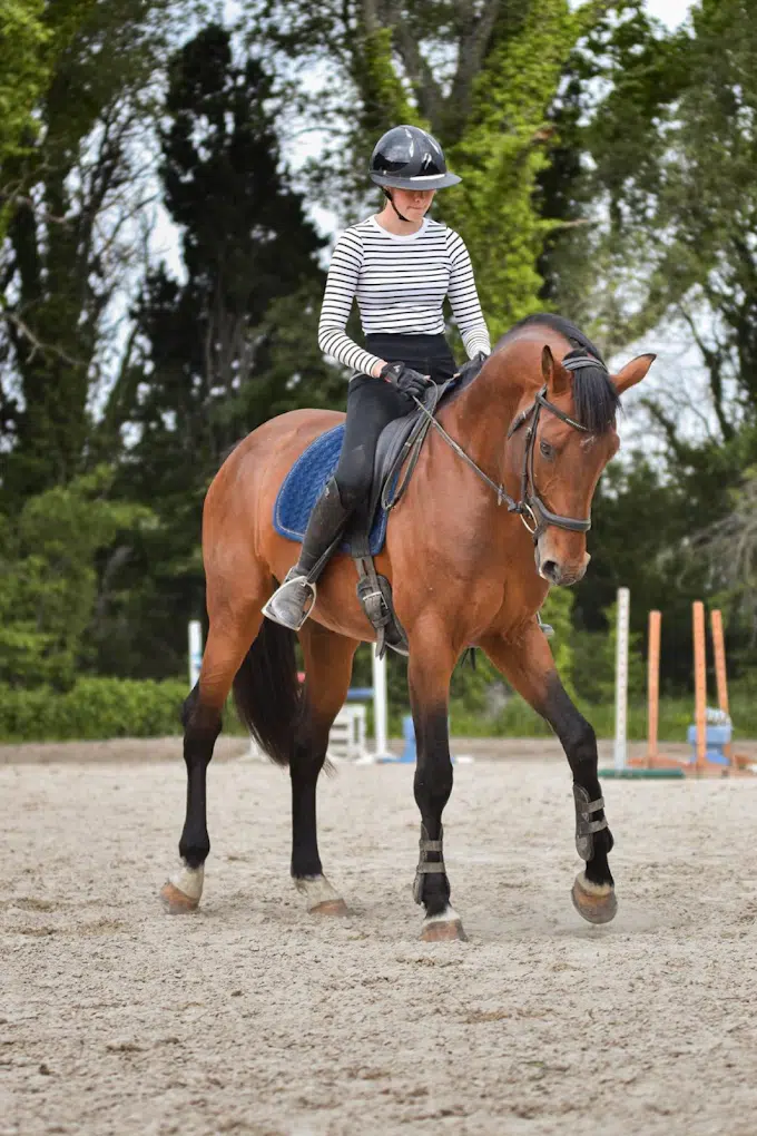 Les_Ecuries_de_Beauregard_Dauphin_Centre_équestre_Forcalquier