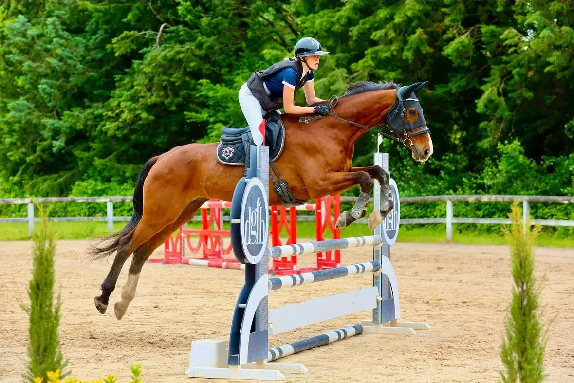 Les_Ecuries_de_Beauregard_Dauphin_Centre_équestre_Forcalquier_2