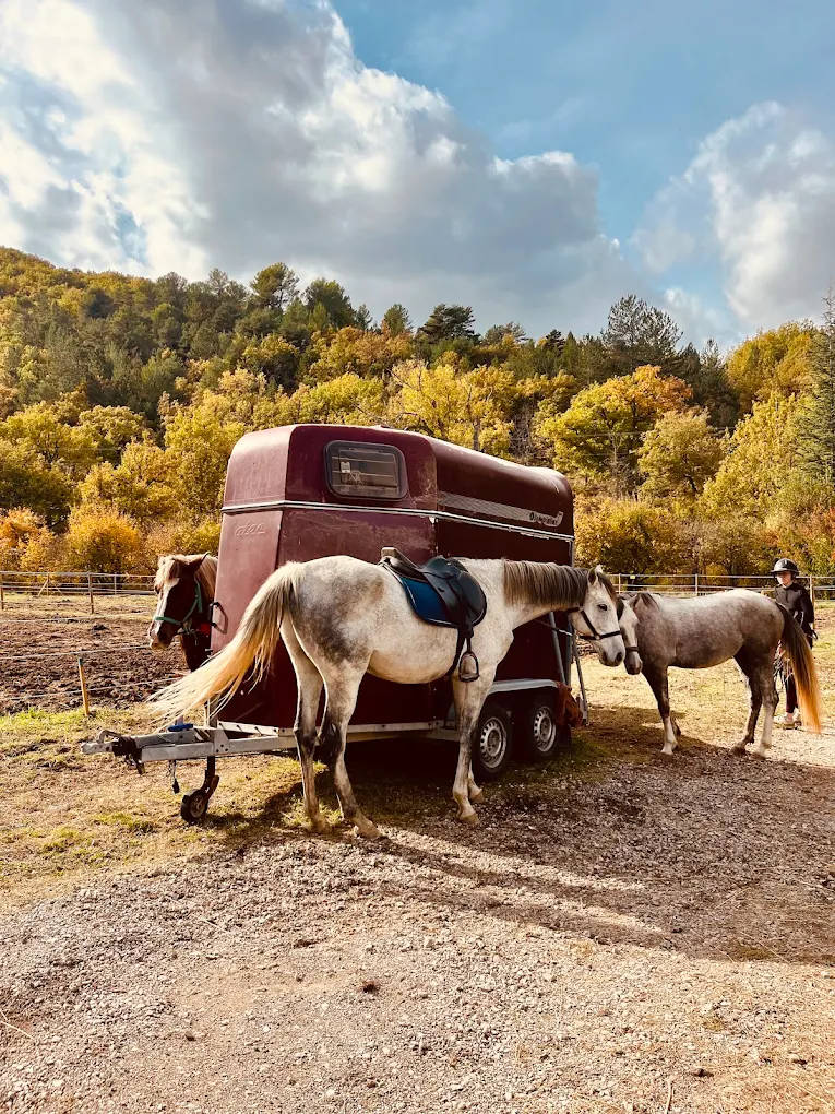 Les_Ecuries_de_Beauregard_Dauphin_Centre_équestre_Forcalquier_Hébergement_Chevaux
