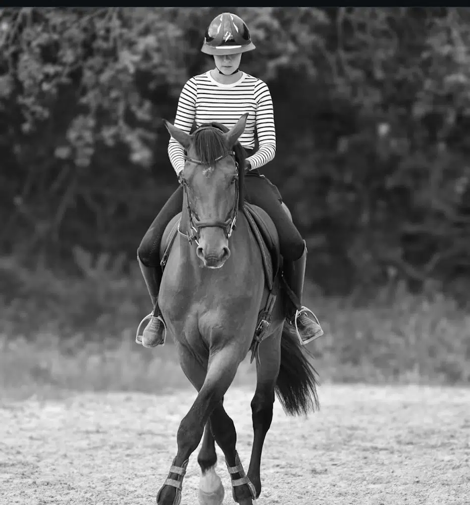 Les_Ecuries_de_Beauregard_Dauphin_Centre_équestre_Forcalquier_Stage